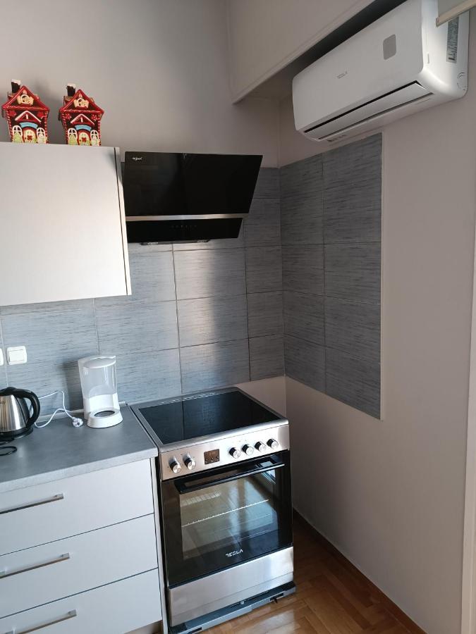 شقة The Athens Museum Penthouse 120Sqm Lycabettus View المظهر الخارجي الصورة